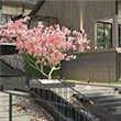 FreeGarden Polonezköy